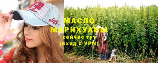 молекула духа Арсеньев