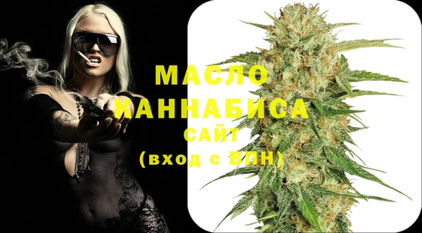 молекула духа Арсеньев