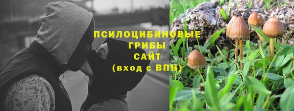 молекула духа Арсеньев