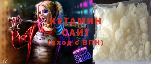 молекула духа Арсеньев