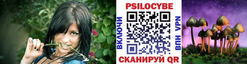 Галлюциногенные грибы Psilocybe  mega онион  Усолье-Сибирское 
